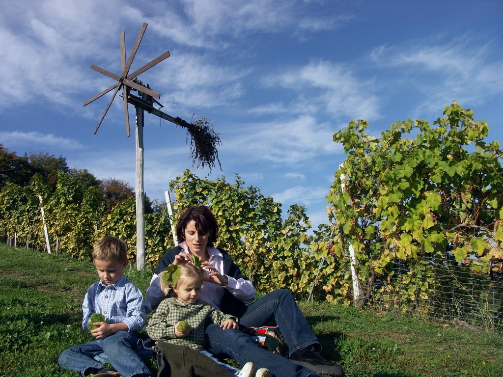 Weingut-Gaestehaus Birnstingl Gamlitz Eksteriør bilde